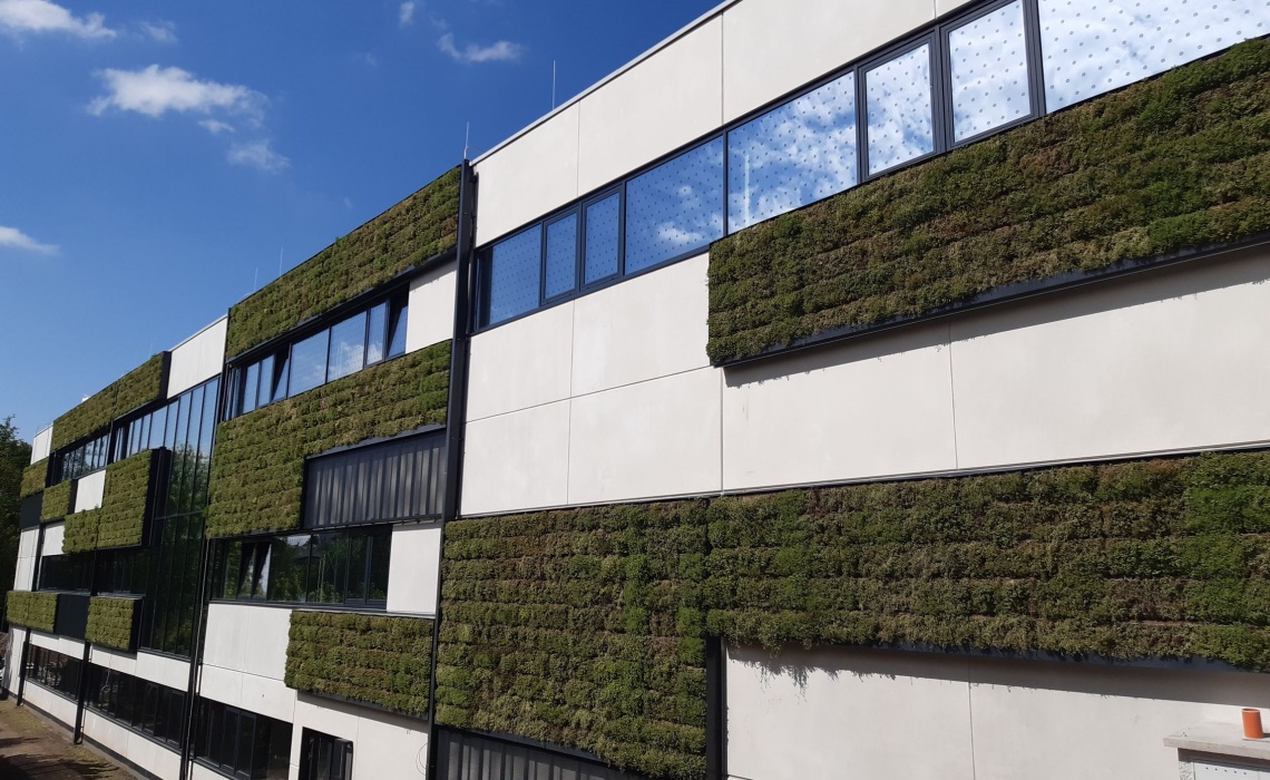 Ochrana proti ptákům polep skel terčíky o průměru 37mm v rastru 150mm